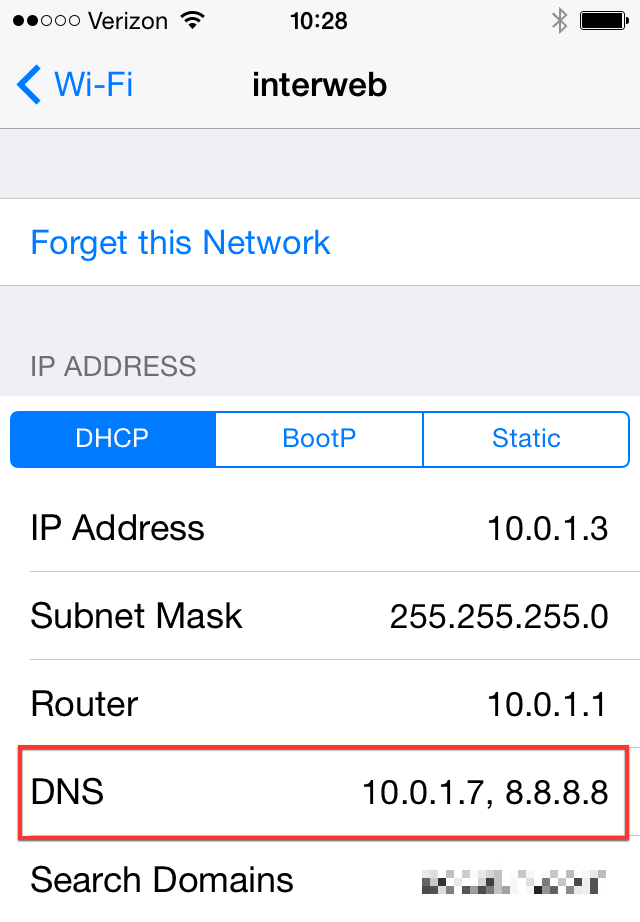 Example of iOS 7 Network DNS Servers